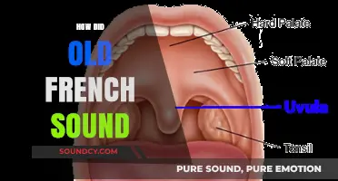 Unveiling the Melody: How Old French Sounded in Medieval Times