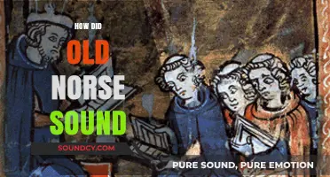 Unveiling the Ancient Melody: How Old Norse Truly Sounded