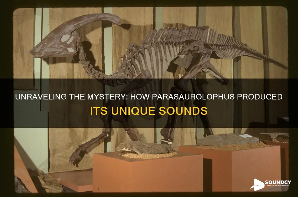 how did parasaurolophus make sound