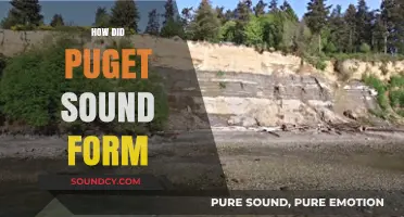 The Geological Journey of Puget Sound's Formation Explained