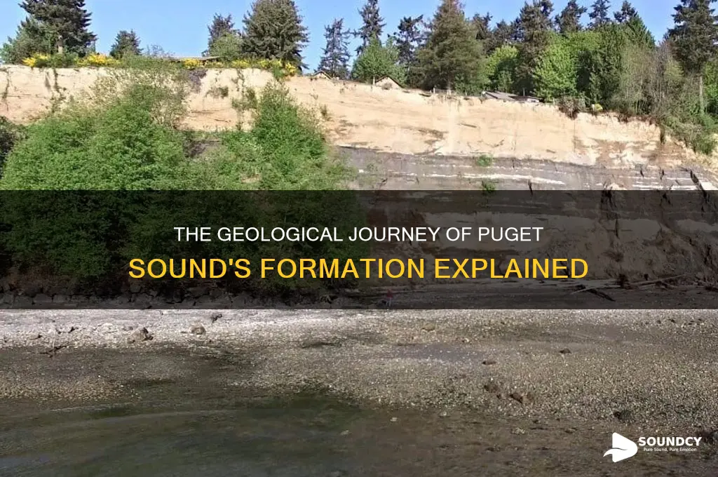 how did puget sound form