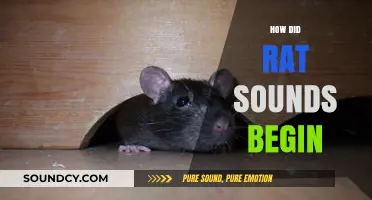 The Surprising Origins of Rat Sounds: A Historical Exploration