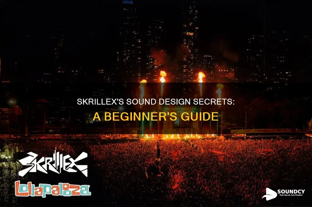 how did skrillex learn sound design