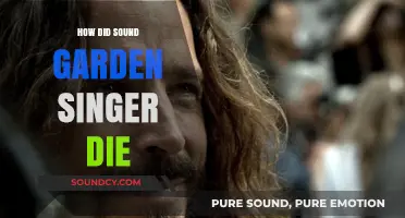 Sound Garden Singer's Untimely Death: What Happened?