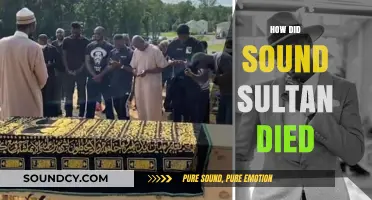 Sound Sultan's Tragic Passing: Unraveling the Cause of His Death