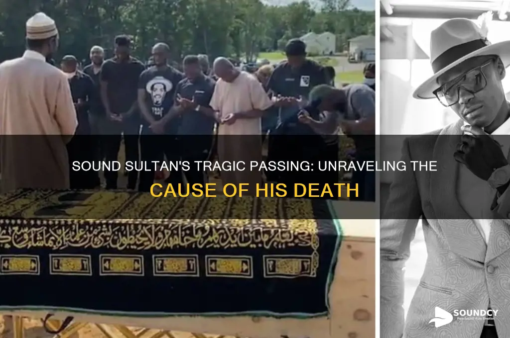 how did sound sultan died