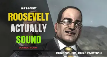 Teddy Roosevelt's Voice: What Did He Sound Like?