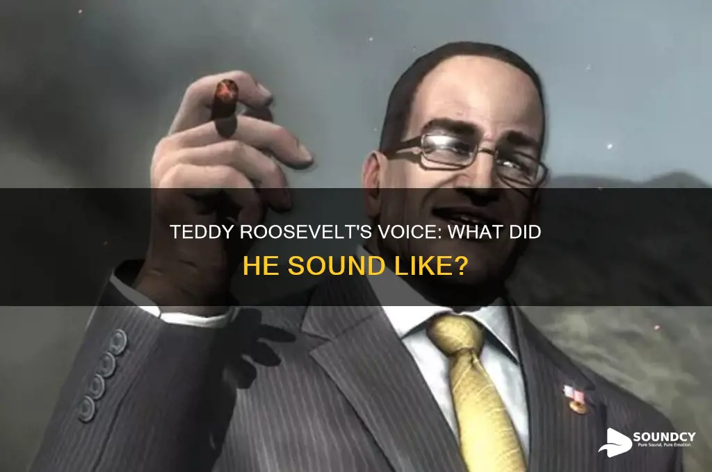 how did teddy roosevelt actually sound