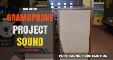 The Gramophone Project: Capturing Sound's Evolution