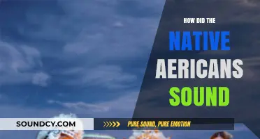 The Native American Sound: A Unique Cultural Identity
