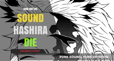 The Sound Pillar's Tragic End
