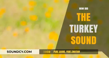 Unraveling the Unique Gobble: How Did the Turkey Sound?