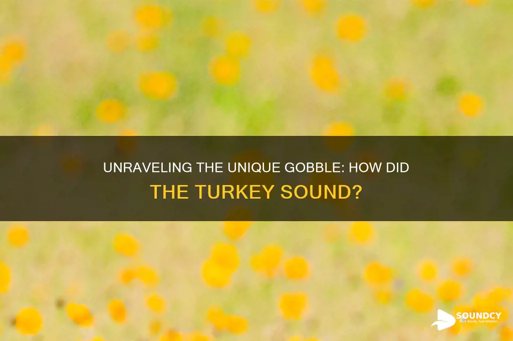 how did the turkey sound