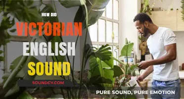 Unveiling the Unique Pronunciation and Cadence of Victorian English