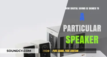 Decoding Digital Sound: How Audio Signals Are Assigned to Specific Speakers