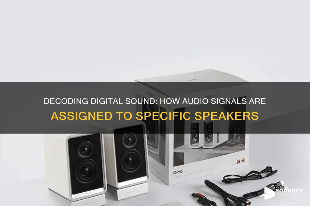 how digital sound is signed to a particular speaker