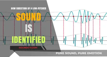 Unraveling the Mystery: How We Pinpoint Low-Pitched Sound Directions
