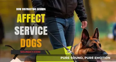 Sounds' Impact: Service Dogs' Focus and Distractions