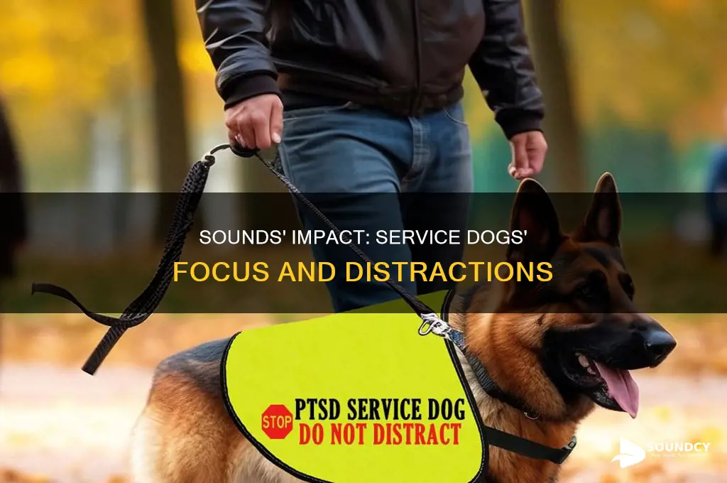 how distracting sounds affect service dogs
