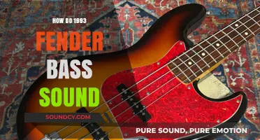 The Rich Sound of the 1993 Fender Bass