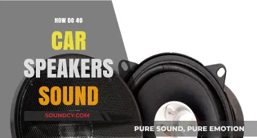 Immersive Audio: 40-Speaker Car Setup