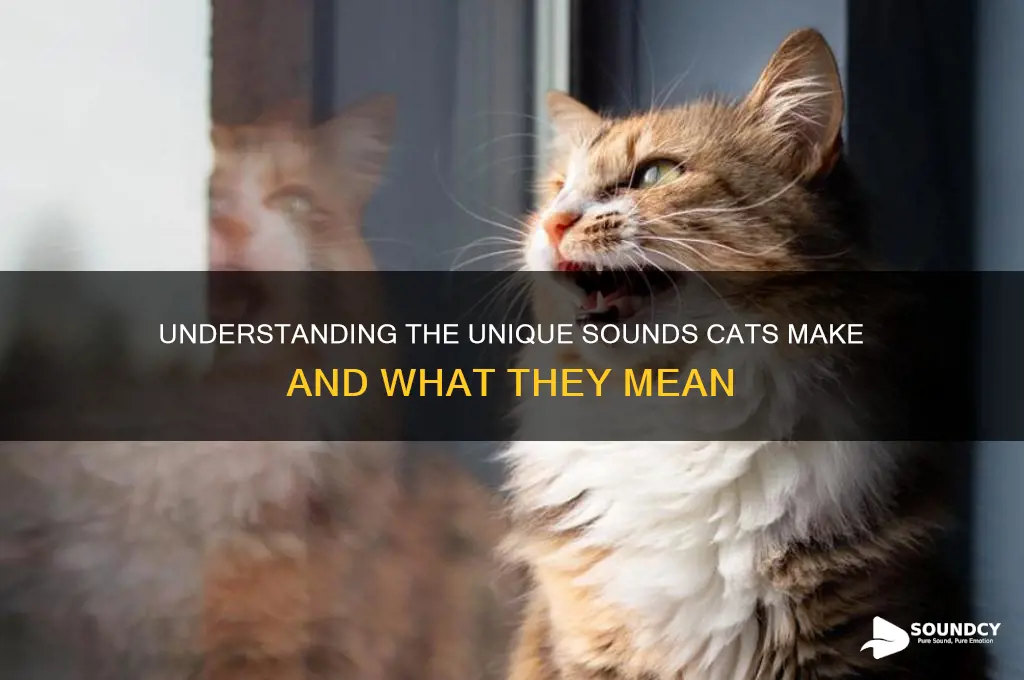 how do a cat sound