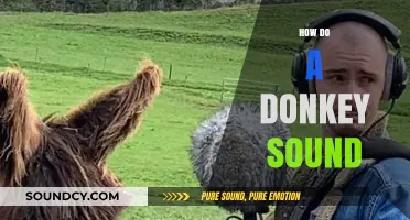 Understanding the Unique Vocalizations: How Does a Donkey Sound?