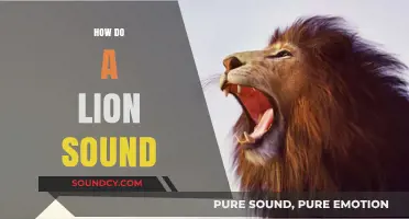 Understanding the Majestic Roar: How Does a Lion Sound?