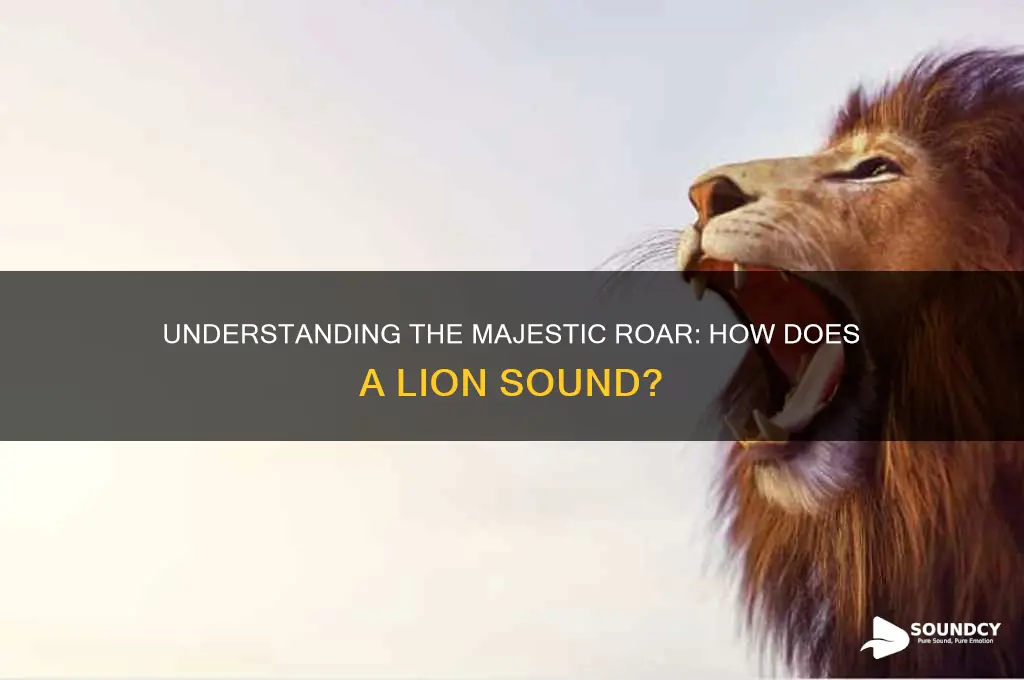 how do a lion sound
