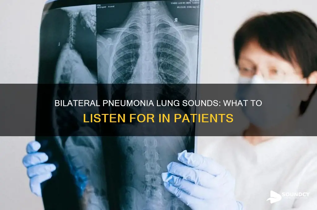how do a person with pneumonia lungs sound bilaterally