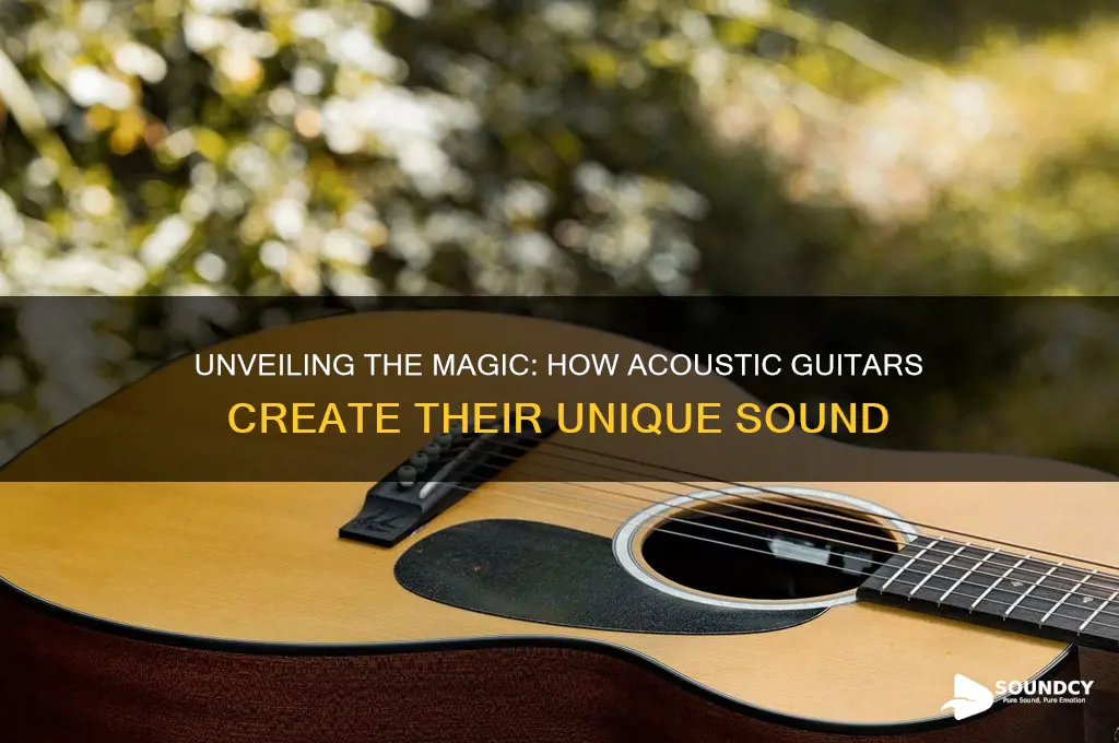 how do acoustic guitars produce sound