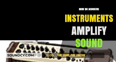 How Acoustic Instruments Naturally Amplify Sound: A Comprehensive Guide