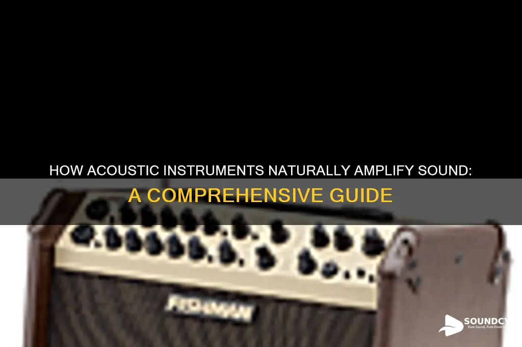 how do acoustic instruments amplify sound