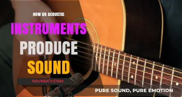 Unveiling the Science Behind Acoustic Instruments' Sound Production