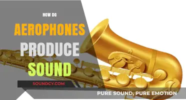 Unveiling Aerophones: The Science Behind Sound Production in Wind Instruments