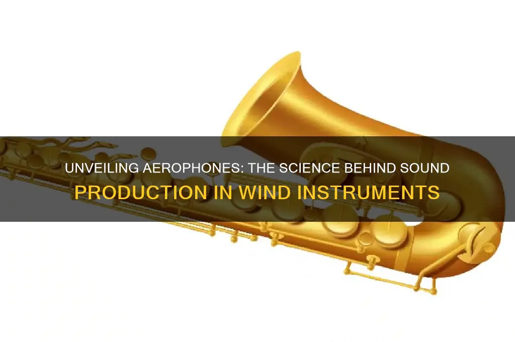 how do aerophones produce sound