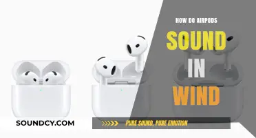 AirPods in Windy Conditions: Sound Quality and Performance Review