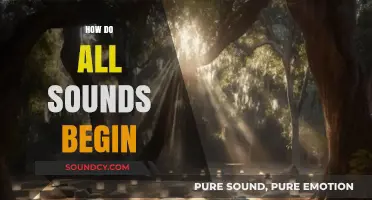 Unveiling the Origins: How All Sounds Begin in Nature and Beyond