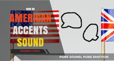 Exploring the Unique Sounds of American Accents: A Linguistic Journey