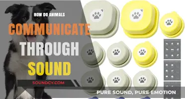 Decoding Nature's Symphony: How Animals Communicate Through Sound Waves