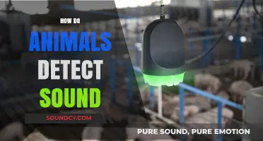 Unveiling the Secrets: How Animals Detect and Interpret Sound Waves