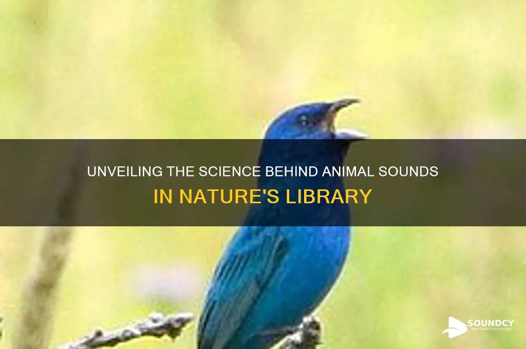 how do animals produce sounds books