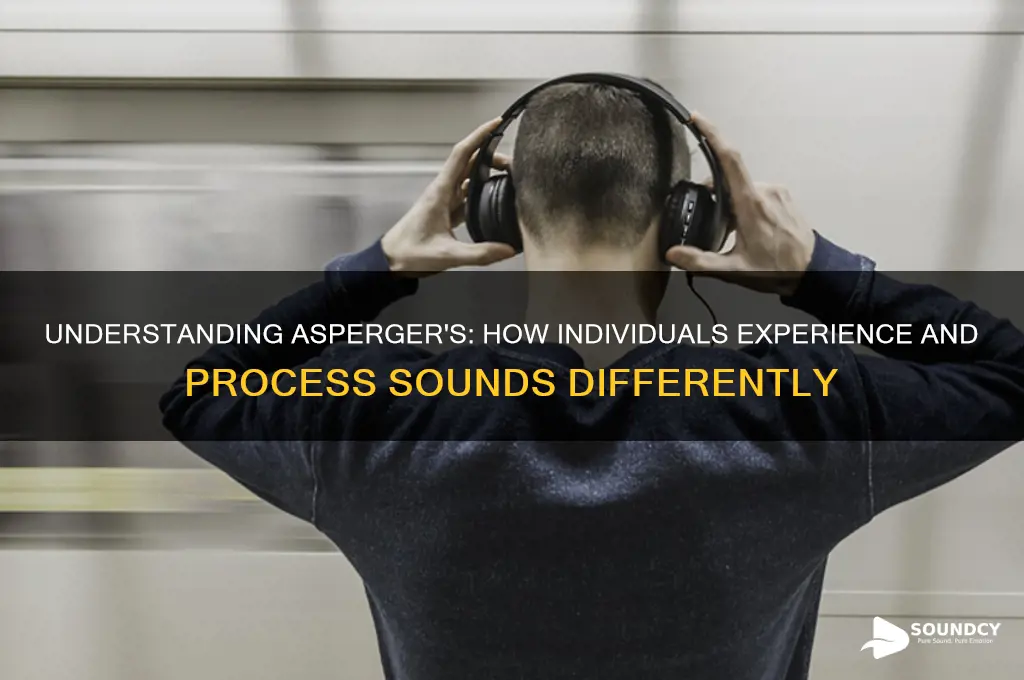 how do aspergers percieves sounds