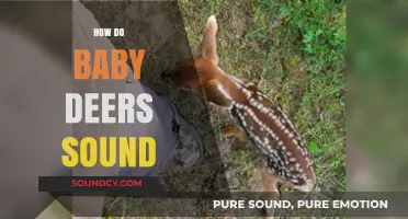 Discover the Adorable, High-Pitched Calls of Baby Deer: A Guide