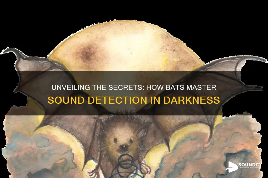 how do bats detect sound