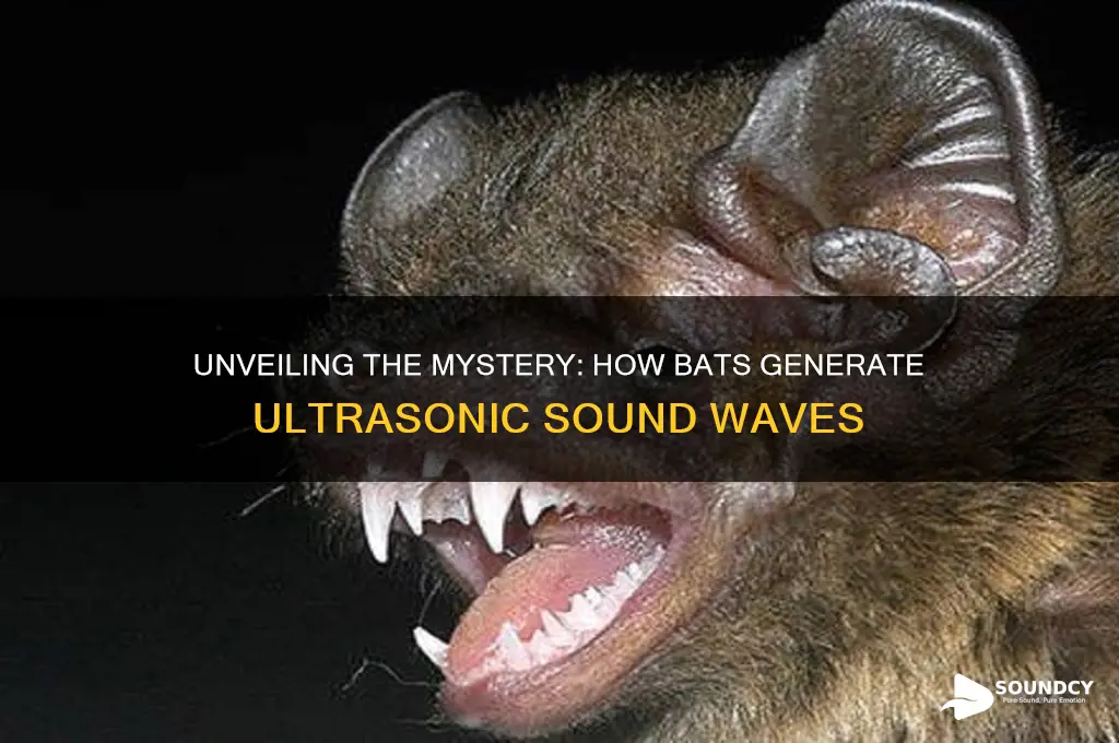 how do bats produce ultrasonic sound