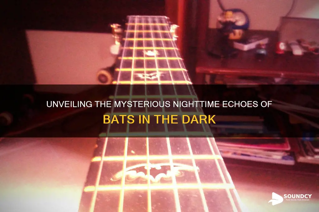 how do bats sound at night