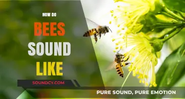 Buzzing Wonders: Unveiling the Unique Sounds of Bees in Nature