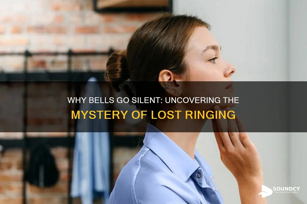 how do bell lose their sound