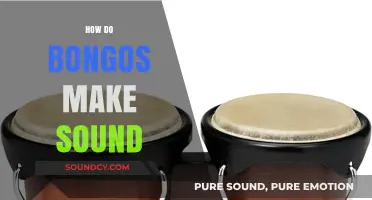 Understanding the Science Behind Bongo Drums' Unique Sound Production